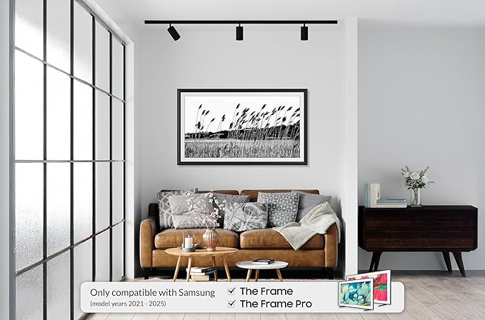 Anodized Black Prismatic 43" Alloy Deco TV Frame - Compatible ONLY with Samsung The Frame TVs (Fits 2021-2025, LS03A, LS03B, LS03C, LS03D, LS03FA)