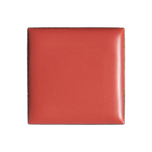 billion dollar brows Lip & Cheek Tint - Pigment