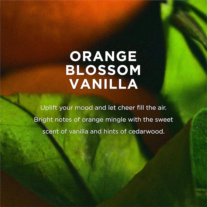 EO Shower Gel Body Wash, 16 Ounce (Pack of 2), Orange Blossom and Vanilla, Organic Plant-Based Skin Conditioning Cleanser with Pure Essentials Oils