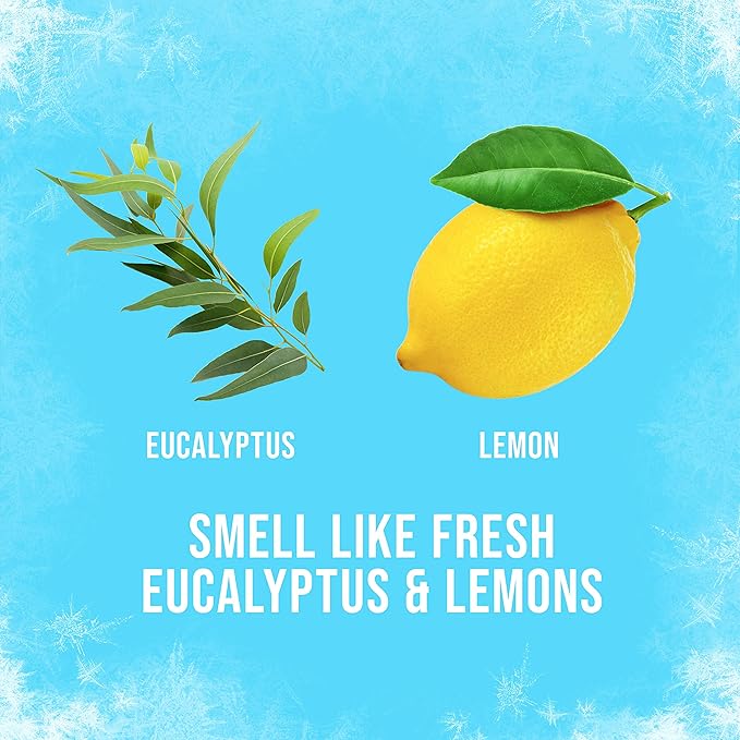 Axe Deodorant Body Spray - Ice Chill - Frozen Lemon & Eucalyptus - Net Wt. 4 OZ (113 g) Per Can - Pack of 2 Cans