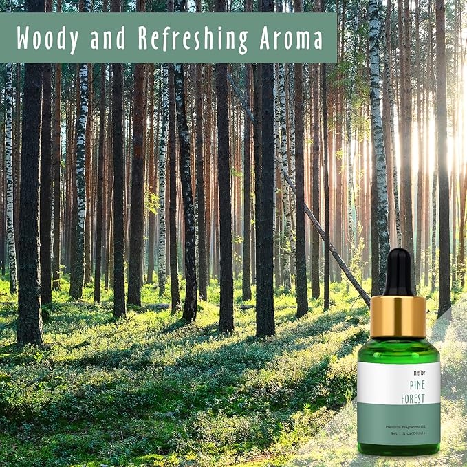 Pine Forest Fragrance Oil, MitFlor Single Scented Oil, 30ml Large Size Premium Fragrance Oil for Soap & Candle Making, Aromatherapy Essential Oil for Diffuser, Fresh Woody Scent for Home Fragrance